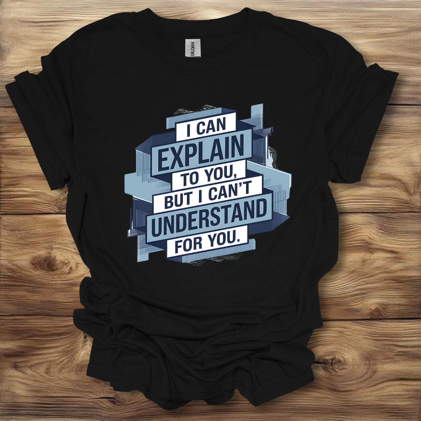 I Can Explain It, But I Can't Understand It For You T-Shirt Unisex Adult Great Gift Him Her Birthday Holiday Christmas