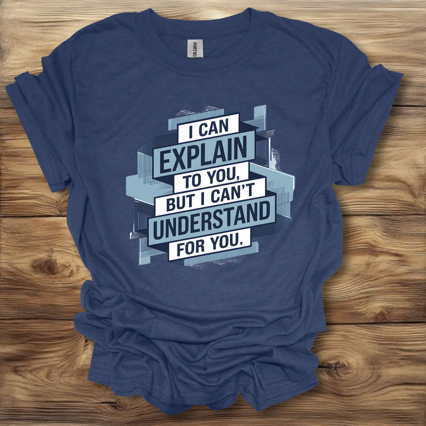 I Can Explain It, But I Can't Understand It For You T-Shirt Unisex Adult Great Gift Him Her Birthday Holiday Christmas