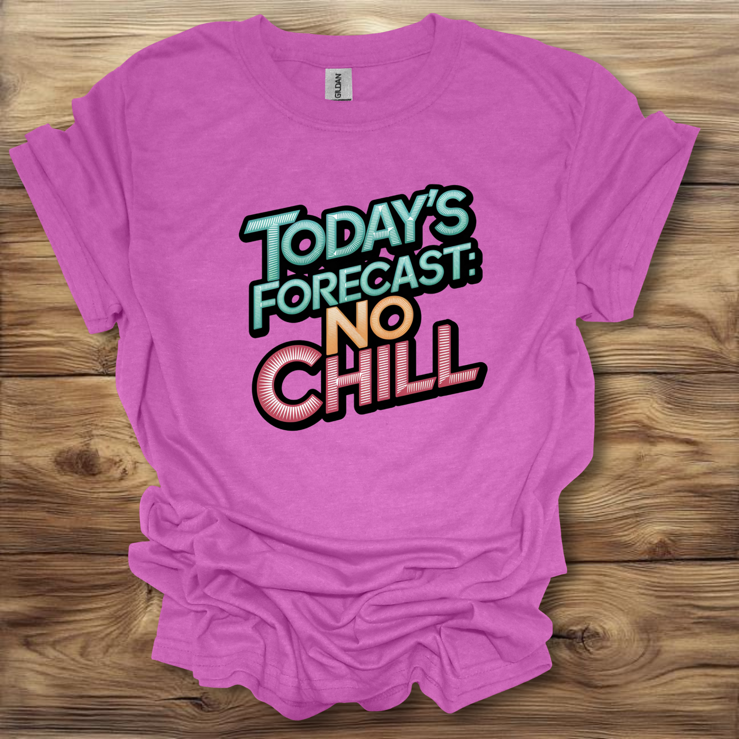 Today's Forecast: No Chill T-Shirt Unisex Adult Great Gift Him Her Birthday Holiday Christmas