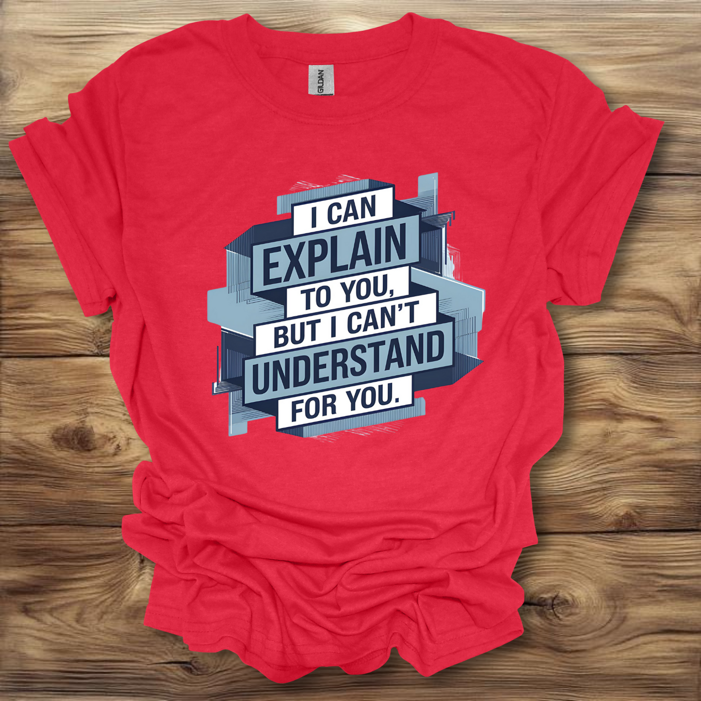 I Can Explain It, But I Can't Understand It For You T-Shirt Unisex Adult Great Gift Him Her Birthday Holiday Christmas