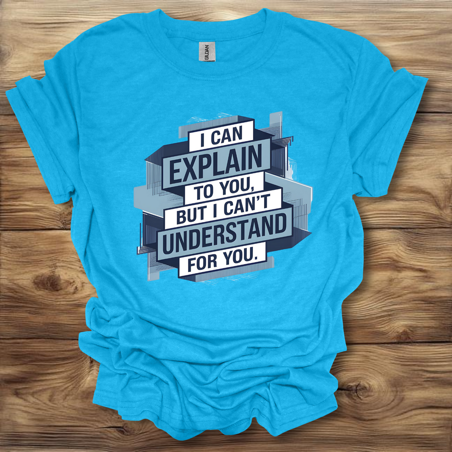 I Can Explain It, But I Can't Understand It For You T-Shirt Unisex Adult Great Gift Him Her Birthday Holiday Christmas