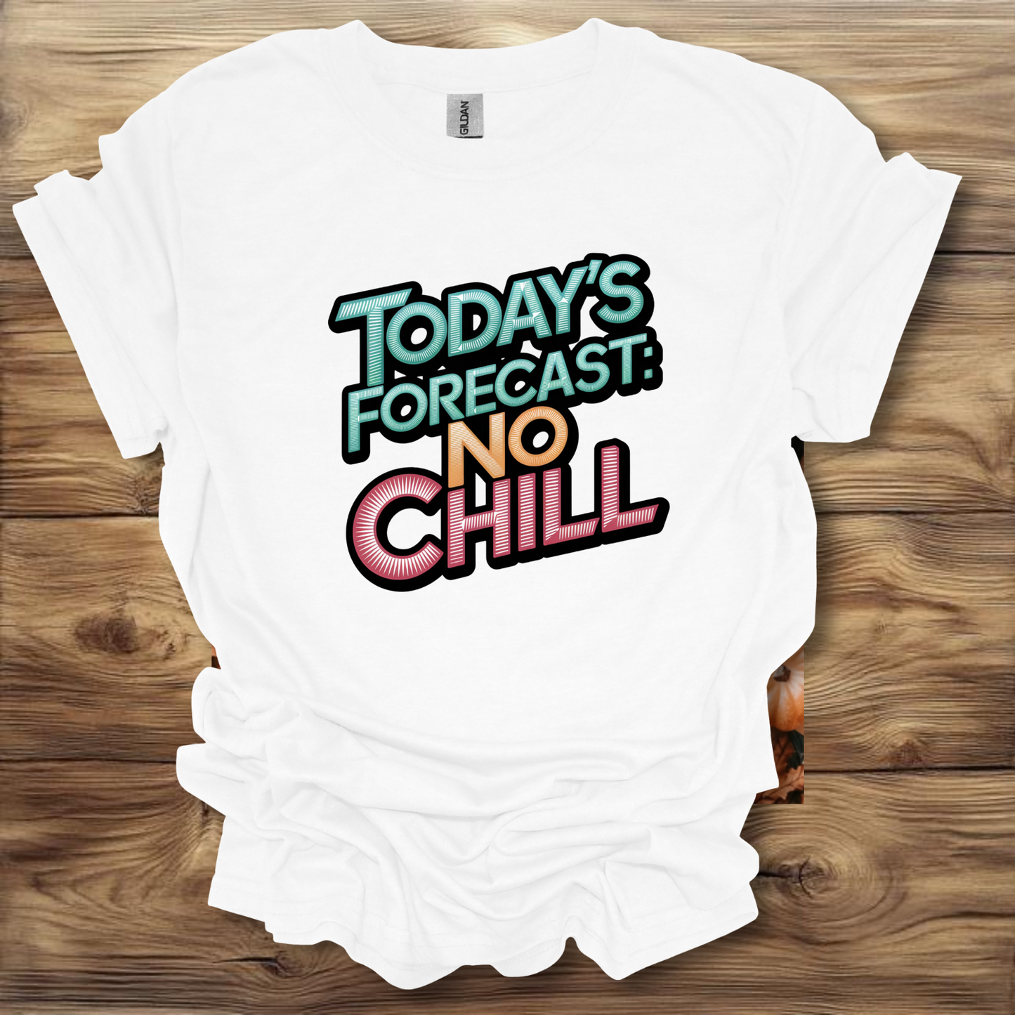 Today's Forecast: No Chill T-Shirt Unisex Adult Great Gift Him Her Birthday Holiday Christmas