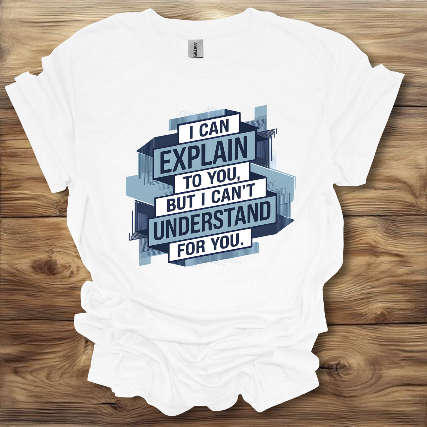 I Can Explain It, But I Can't Understand It For You T-Shirt Unisex Adult Great Gift Him Her Birthday Holiday Christmas